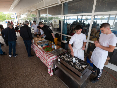 26. Dani masline u Zadru