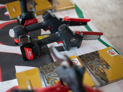 26. Dani masline u Zadru