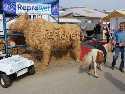 26. Jesenji međunarodni bjelovarski sajam