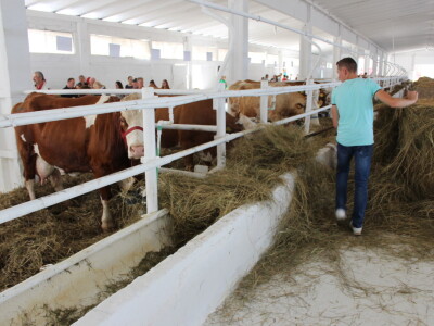 26. Jesenski međunarodni bjelovarski sajam