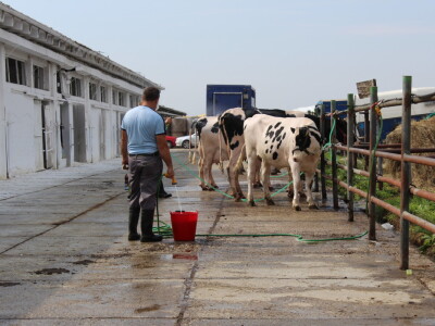 26. Jesenski međunarodni bjelovarski sajam