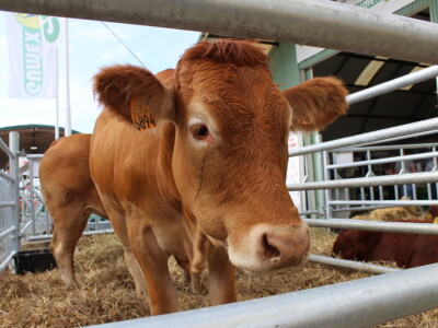 26. Jesenski međunarodni bjelovarski sajam