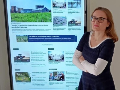 26. međunarodni Dani masline u Zadru 26. međunarodni Dani masline u Zadru