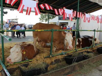 26. međunarodni jesenski bjelovarski sajam