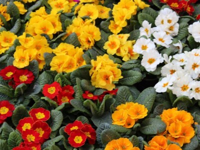 26. Osječki proljetni sajam i 20. Obrtnički sajam