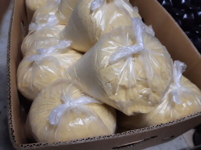 Ne, ja sam rekao da pčelarim od srednje škole. Nisam završio poljoprivrednu nego Gimnaziju. Najveći uticaj na mene i moj najveći mentor bio mi je jadan daljnji kum iz mog sela, Milutin Šokčević, stari