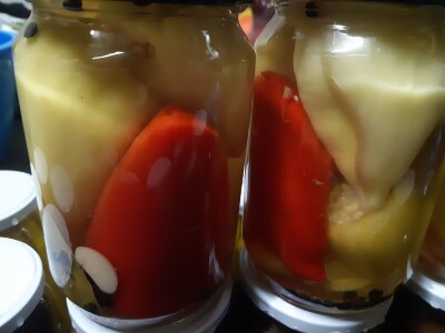 Ne, ja sam rekao da pčelarim od srednje škole. Nisam završio poljoprivrednu nego Gimnaziju. Najveći uticaj na mene i moj najveći mentor bio mi je jadan daljnji kum iz mog sela, Milutin Šokčević, stari