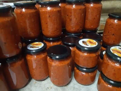 Ne, ja sam rekao da pčelarim od srednje škole. Nisam završio poljoprivrednu nego Gimnaziju. Najveći uticaj na mene i moj najveći mentor bio mi je jadan daljnji kum iz mog sela, Milutin Šokčević, stari