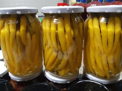 Ne, ja sam rekao da pčelarim od srednje škole. Nisam završio poljoprivrednu nego Gimnaziju. Najveći uticaj na mene i moj najveći mentor bio mi je jadan daljnji kum iz mog sela, Milutin Šokčević, stari