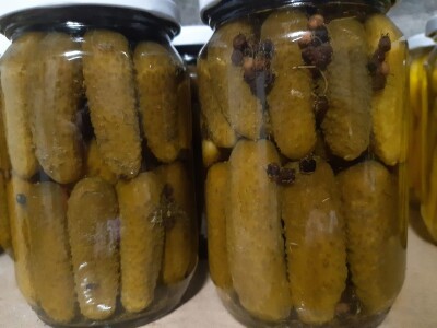 Ne, ja sam rekao da pčelarim od srednje škole. Nisam završio poljoprivrednu nego Gimnaziju. Najveći uticaj na mene i moj najveći mentor bio mi je jadan daljnji kum iz mog sela, Milutin Šokčević, stari