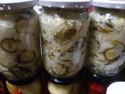 Ne, ja sam rekao da pčelarim od srednje škole. Nisam završio poljoprivrednu nego Gimnaziju. Najveći uticaj na mene i moj najveći mentor bio mi je jadan daljnji kum iz mog sela, Milutin Šokčević, stari