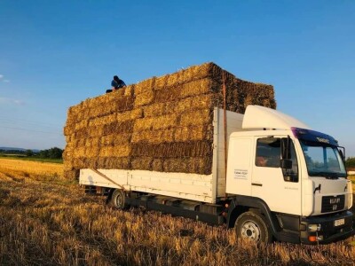 Hazim sa svojim blagom Hazim sa svojim blagom