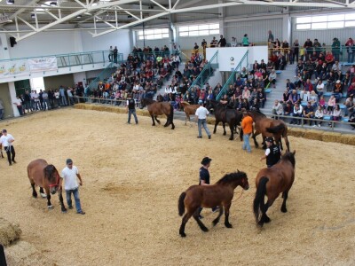 27. državna stočarska izložba