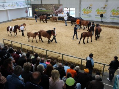 27. državna stočarska izložba