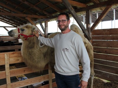 27. državna stočarska izložba