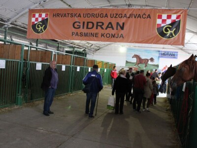 27. državna stočarska izložba