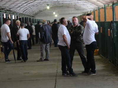 27. državna stočarska izložba