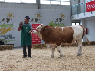 27. državna stočarska izložba