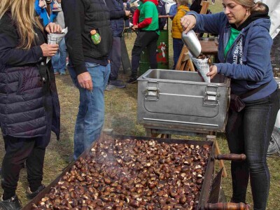 27. Zelinska kestenijada