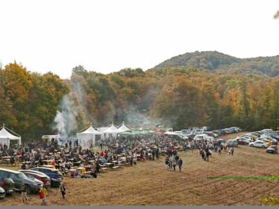 27. Zelinska kestenijada