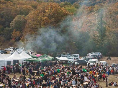 27. Zelinska kestenijada