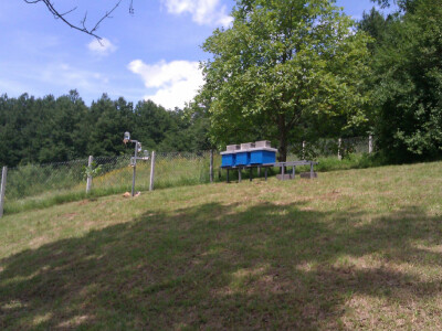 pcelarstvo-alagic-11