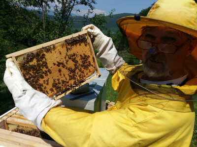 pcelarstvo-alagic-13