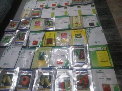 Ne, ja sam rekao da pčelarim od srednje škole. Nisam završio poljoprivrednu nego Gimnaziju. Najveći uticaj na mene i moj najveći mentor bio mi je jadan daljnji kum iz mog sela, Milutin Šokčević, stari