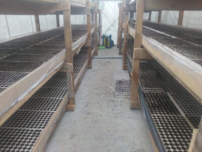 Ne, ja sam rekao da pčelarim od srednje škole. Nisam završio poljoprivrednu nego Gimnaziju. Najveći uticaj na mene i moj najveći mentor bio mi je jadan daljnji kum iz mog sela, Milutin Šokčević, stari