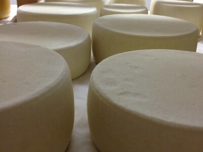 Dugi otok nikada nisu napustili, otvorili su siranu i stvorili uvjete da tamo ostanu i njihova djeca