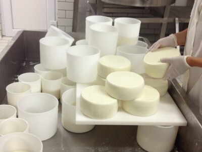 Dugi otok nikada nisu napustili, otvorili su siranu i stvorili uvjete da tamo ostanu i njihova djeca