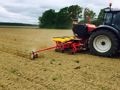 28. travnja, dan sedamnaesti