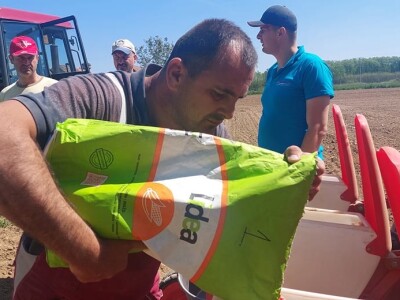 Sjetva kukuruza u Gornjoj Slatini