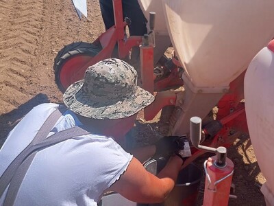 Sjetva kukuruza u Gornjoj Slatini