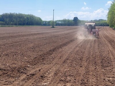 Sjetva kukuruza u Gornjoj Slatini