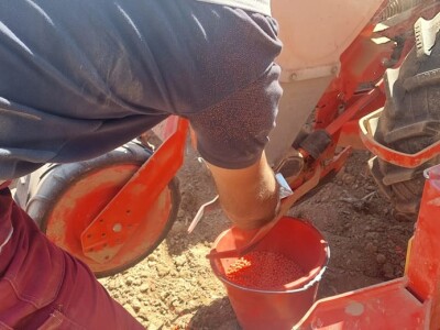 Sjetva kukuruza u Gornjoj Slatini