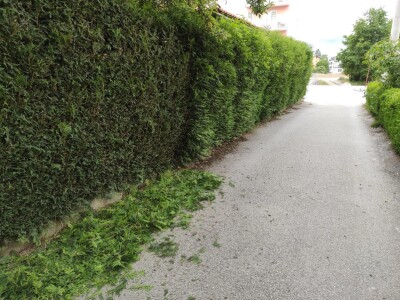 Mladi Gornjevakufljani vrše usluge uređivanja dvorišta i okućnica