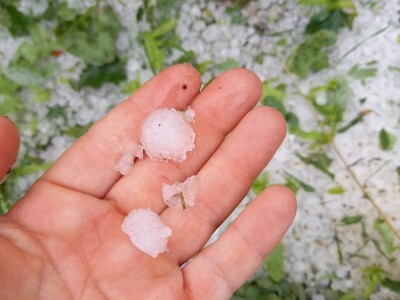 Tuča uništila povrća na OPG-u Duk