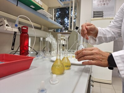 29. ocjenjivanje meda prof. Flanjak