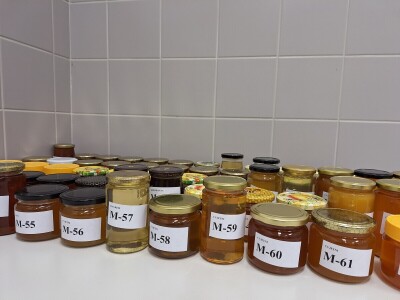 29. ocjenjivanje meda prof. Flanjak