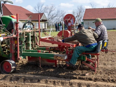 Strojna sadnja vinove loze