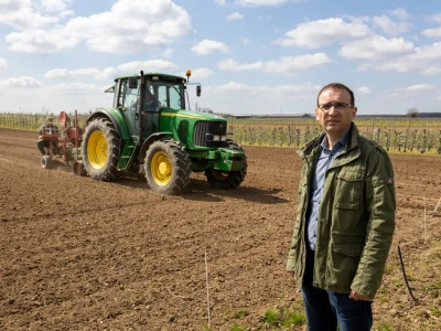 Strojna sadnja vinove loze