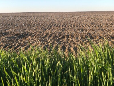 Navodnjavanje, Osječko-baranjska županija