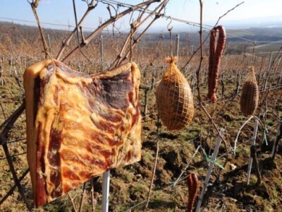 Profesori i studenti požeškog Veleučilišta s gostima proslavili Vincelovo