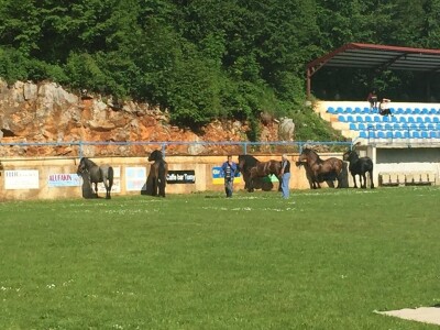 2. smotra Hrvatskog hladnokrvnjaka