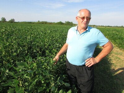 Slavko u polju soje