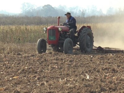 Sušna jesen primorala ratare da menjaju navike