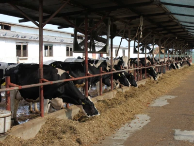 Farma Agrimat Matca, Galati