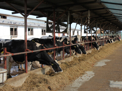 Farma Agrimat Matca, Galati