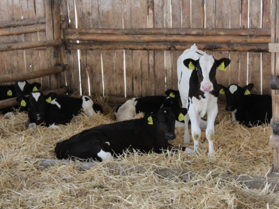 Farma Agrimat Matca, Galati